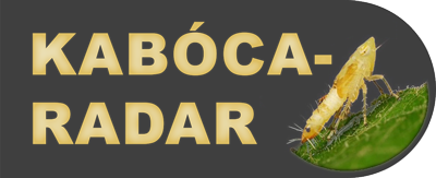 Címlap